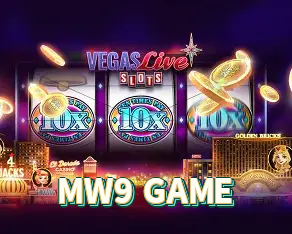 MW9 GAME Logo Verificado