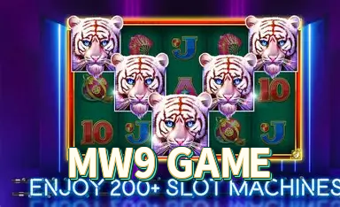 Fortune Rabbit Verificado